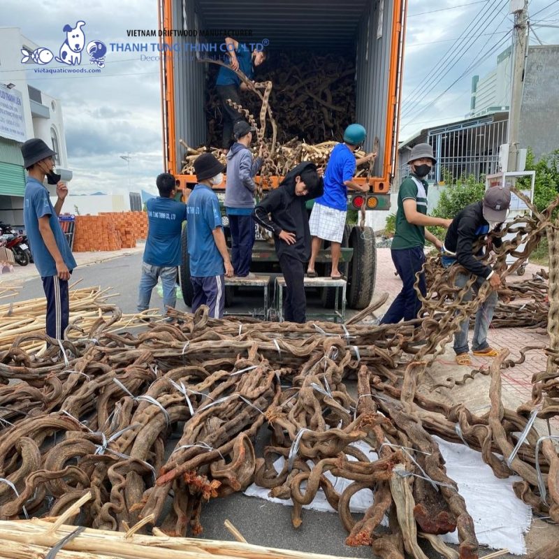 Wholesale natural driftwood with many benefits for B2B buyers