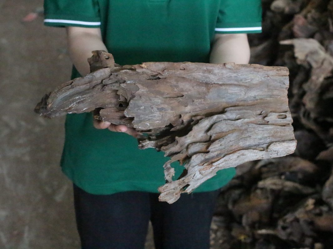 driftwood 3