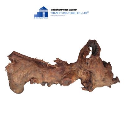 aquarium kimchi driftwood