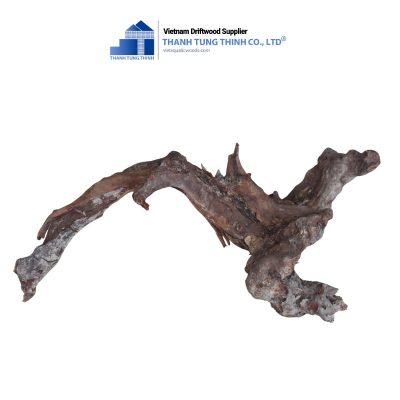 kimchi driftwood 11