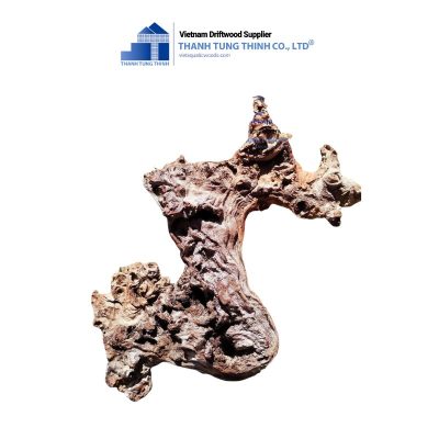 kimchi driftwood 4