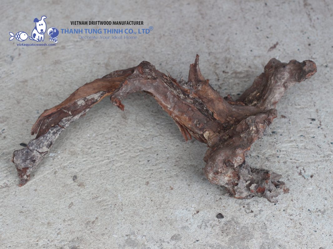 Driftwood for climbing use