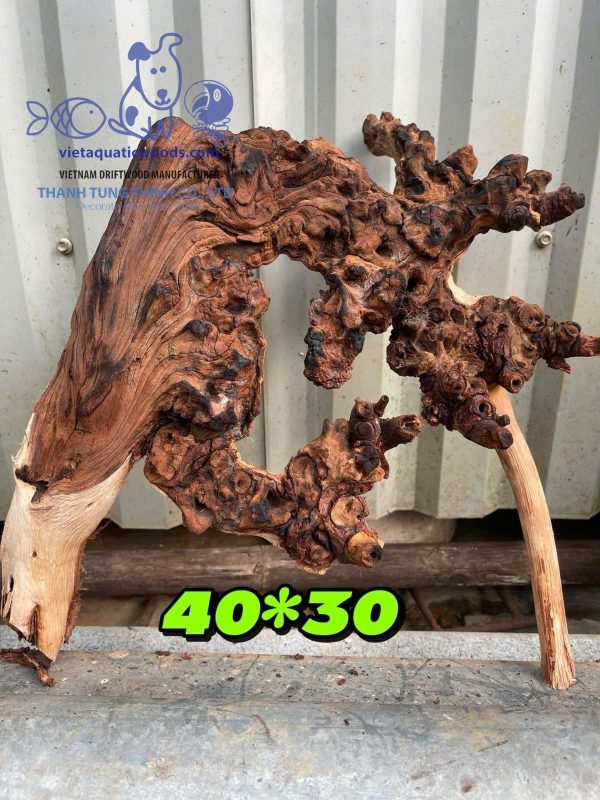 Large and dense Kimchi wood