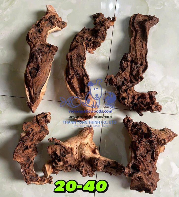 Medium-sized driftwood for bearded dragons