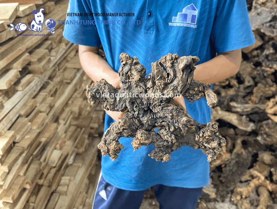 Make sure your wholesale driftwood for aquariums is completely safe