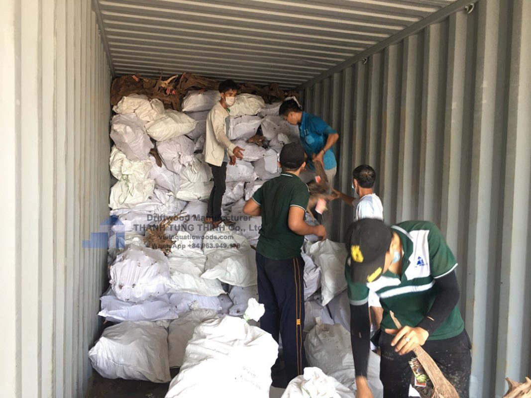 Reliable driftwood suppliers focus on sustainable sourcing