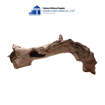 Sanda Woods for Reptile Tanks