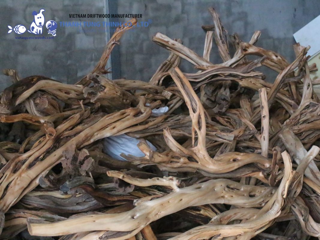 Tiger driftwood with flexible MOQs for bulk buyers