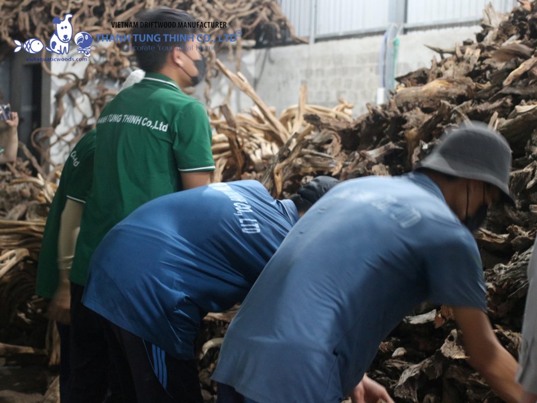 Compare multible driftwood supplier and their offers