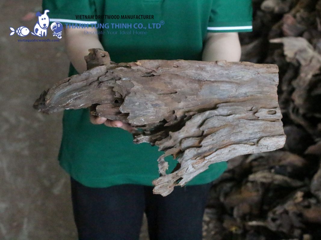 Ensuring the quality and safety of aquarium driftwood