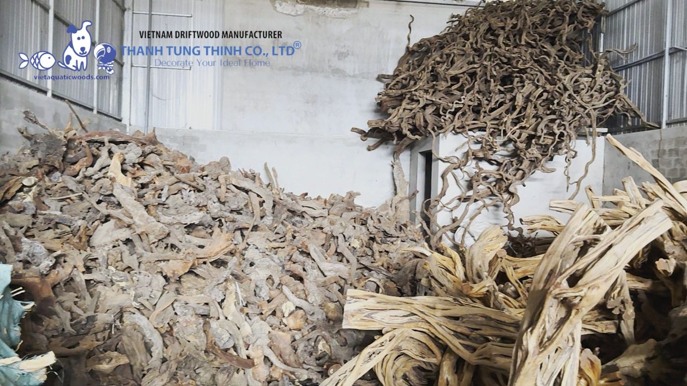 Diverse types, shapes, and sizes of driftwood