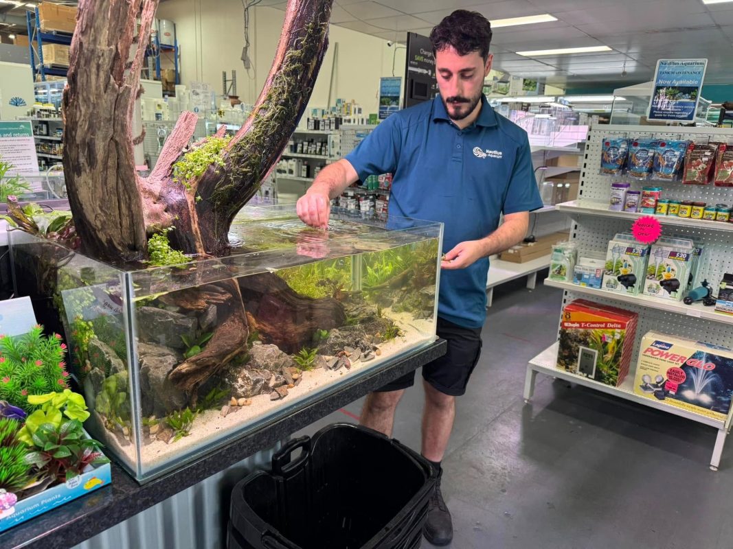 Retailers should share guides and tips on using driftwood