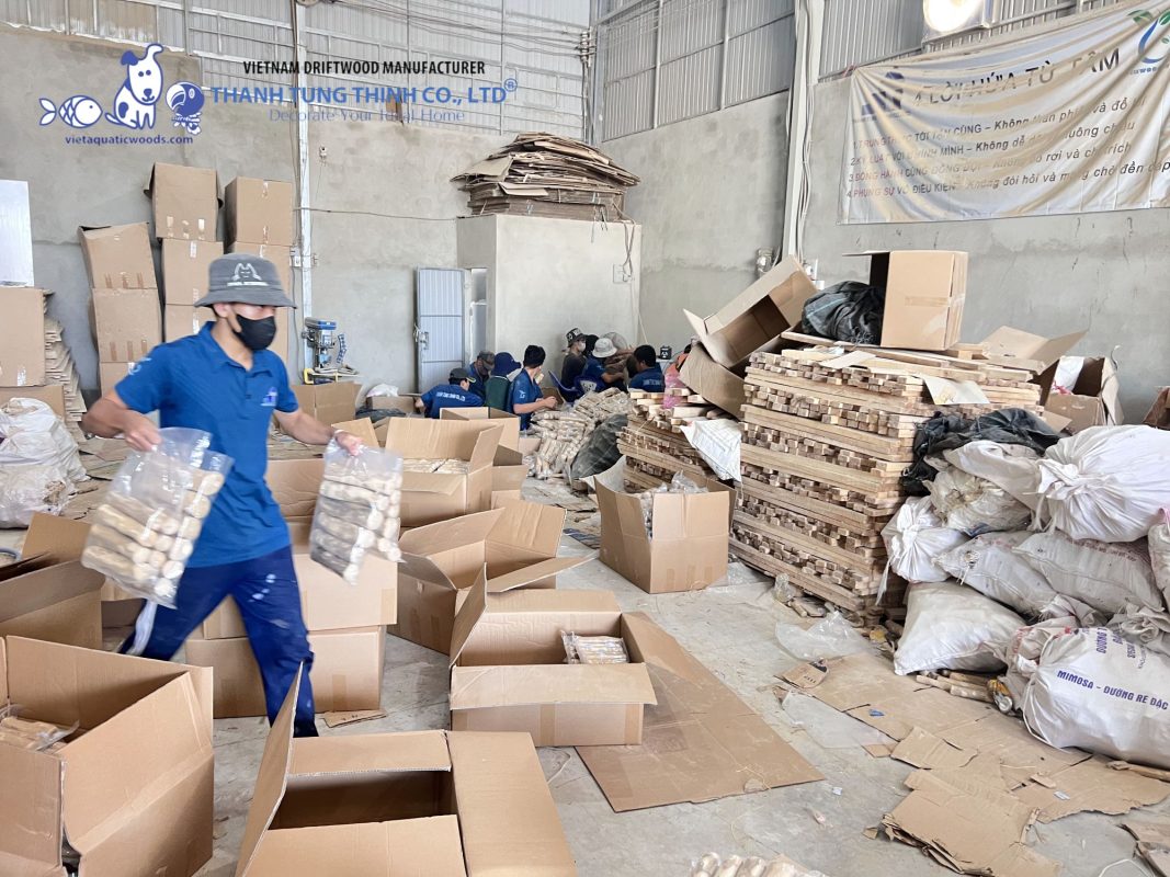 Wholesale coffee wood chews supplier