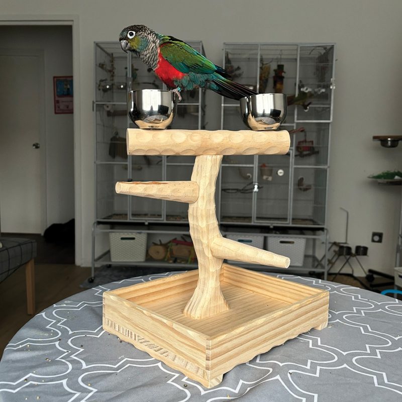 Java wood perches encourage natural exercise