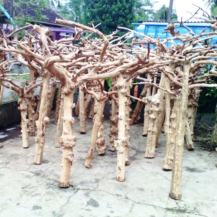 Java wood branches help minimize waste