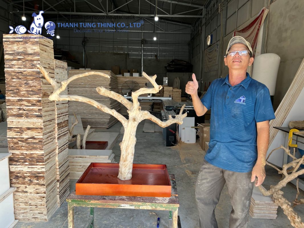 Thanh Tung Thinh is a trusted Java wood branches supplier in Vietnam