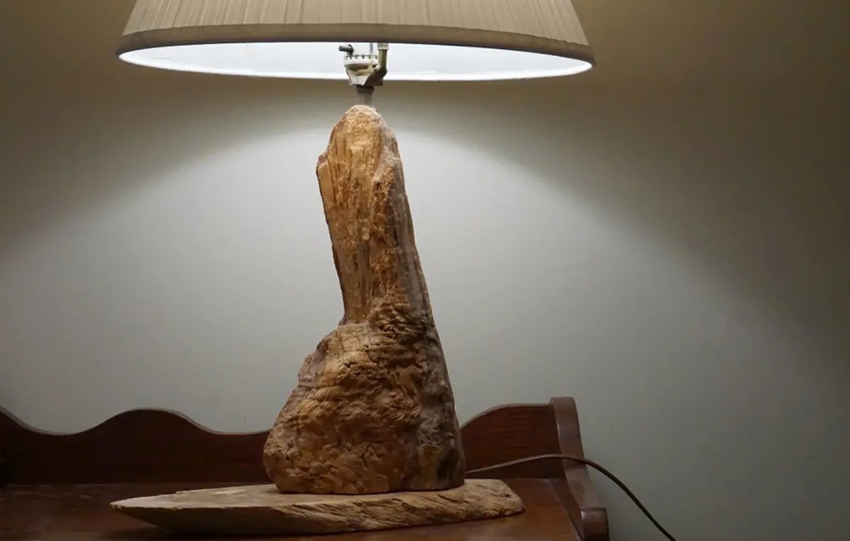 Driftwood lamps offer striking, yet subtle accent lighting
