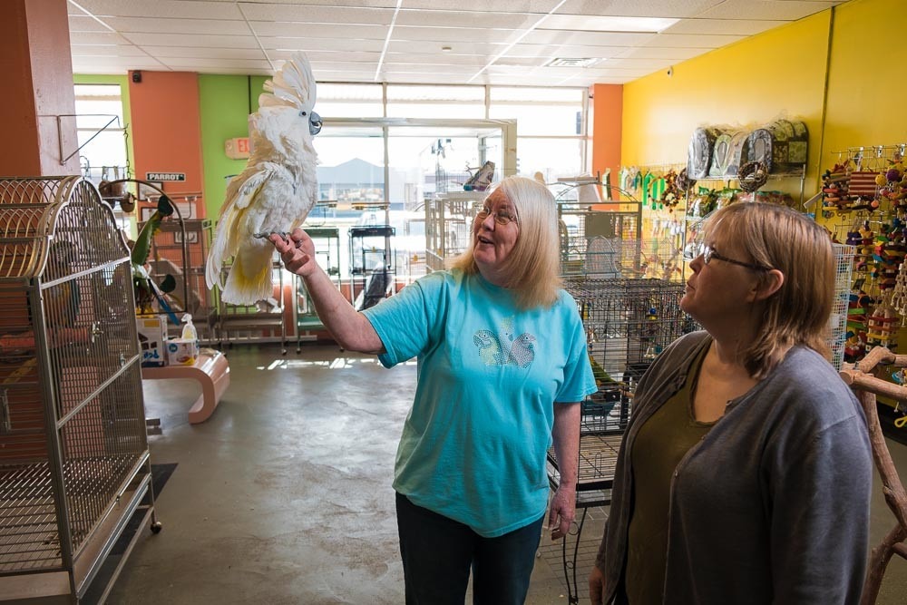 Educating customers to drive sustainable demand