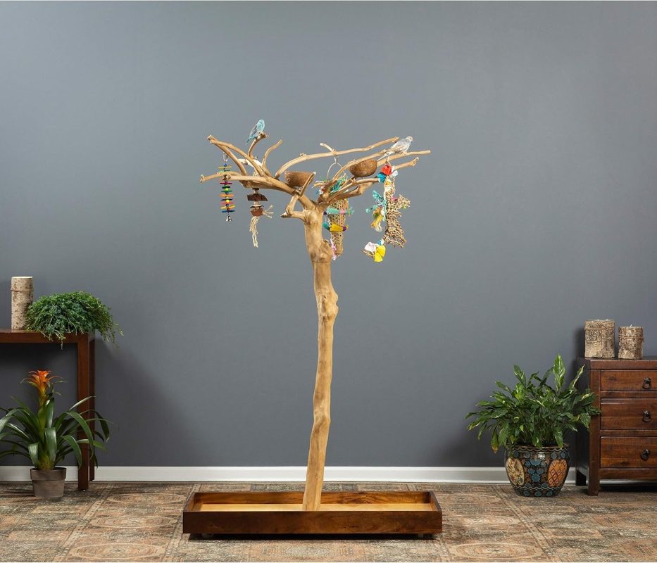 Coffee wood bird perch
