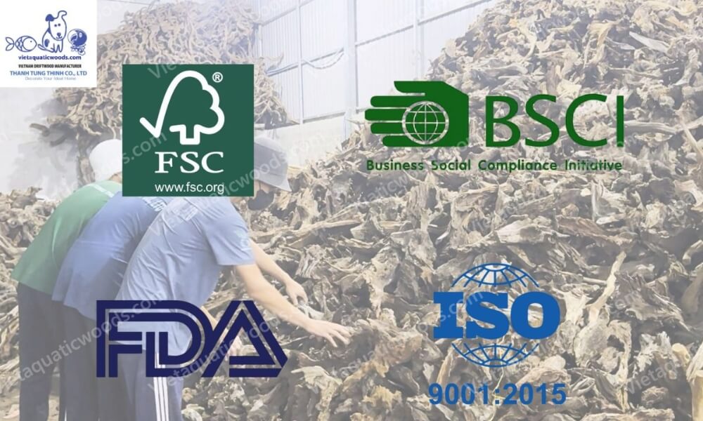 Certified Premium Mangrove Root Manufacturer quality standards