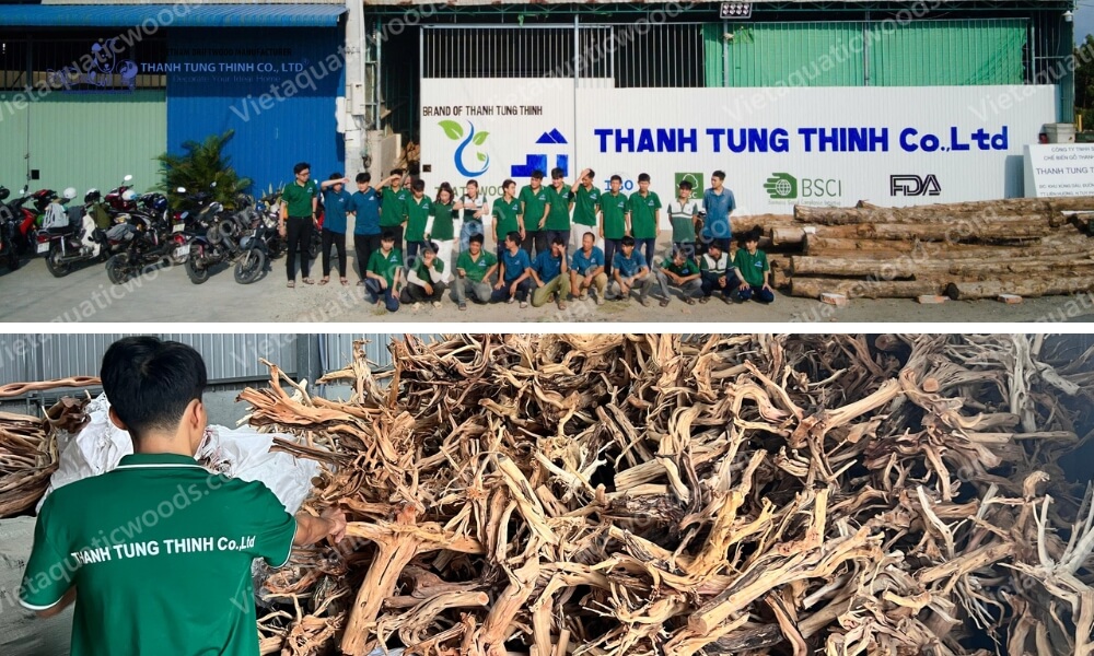 Dedicated team at our Premium Mangrove Root Manufacturer workshop