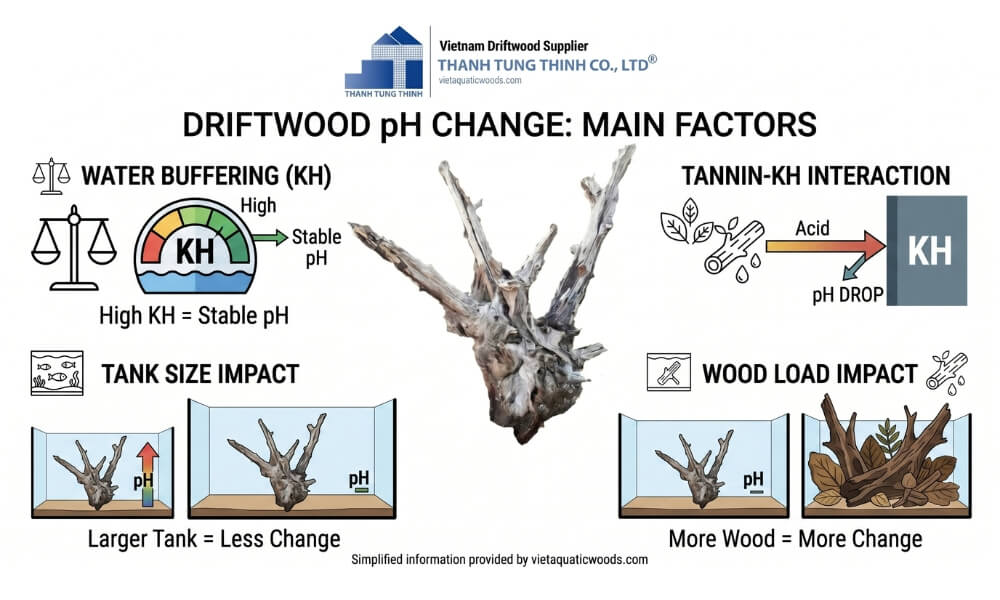 Aquarium with driftwood showing how pH impact varies depending on KH, tank size, and amount of wood used.