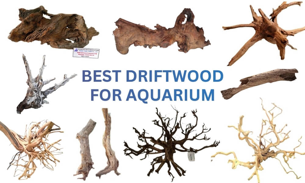 High quality aquarium driftwood collection