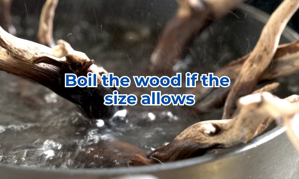 Boiling driftwood helps it sink faster