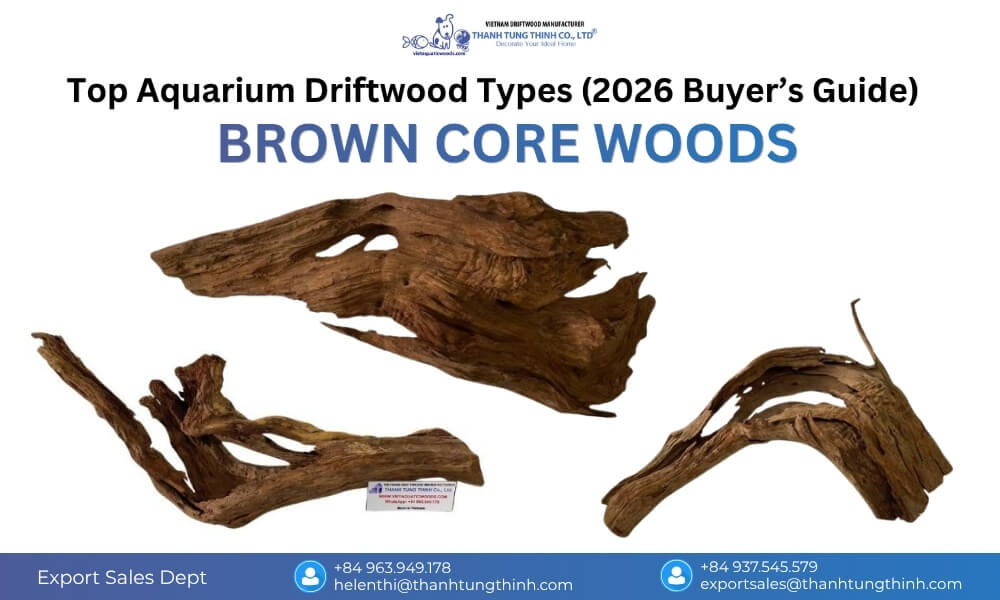 Brown Core Woods driftwood in a nature-style aquarium, featuring dense hardwood, quick sinking, and rich visual depth