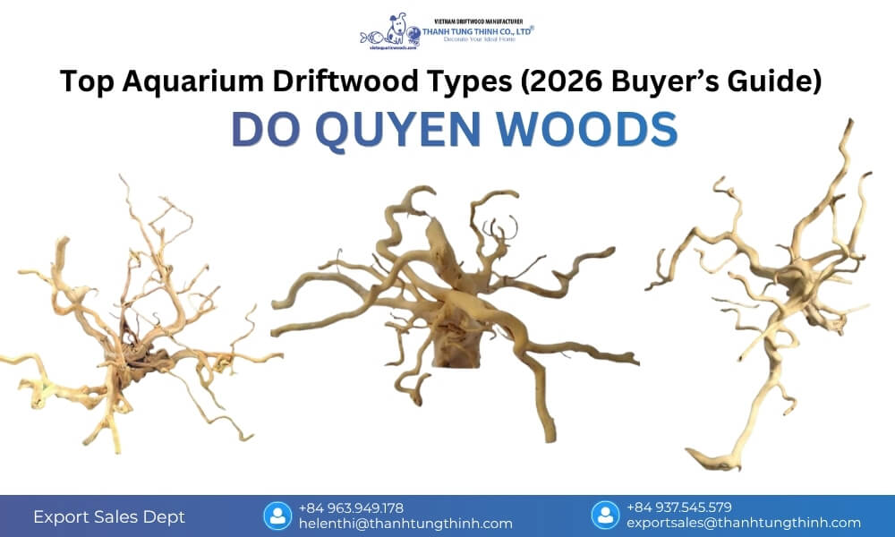 Best Driftwood for Aquarium (Do Quyen Woods bonsai-like driftwood in an artistic aquarium, featuring elegant branches and a strong centerpiece effect