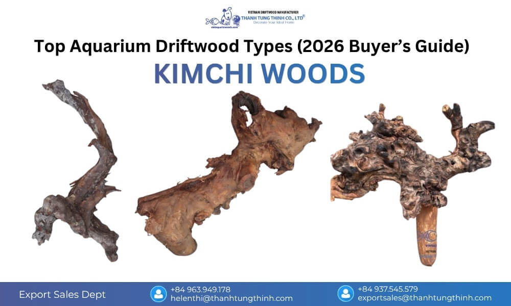 Kimchi Woods driftwood in a nano aquarium, compact, easy to place, and suitable for minimalist layouts