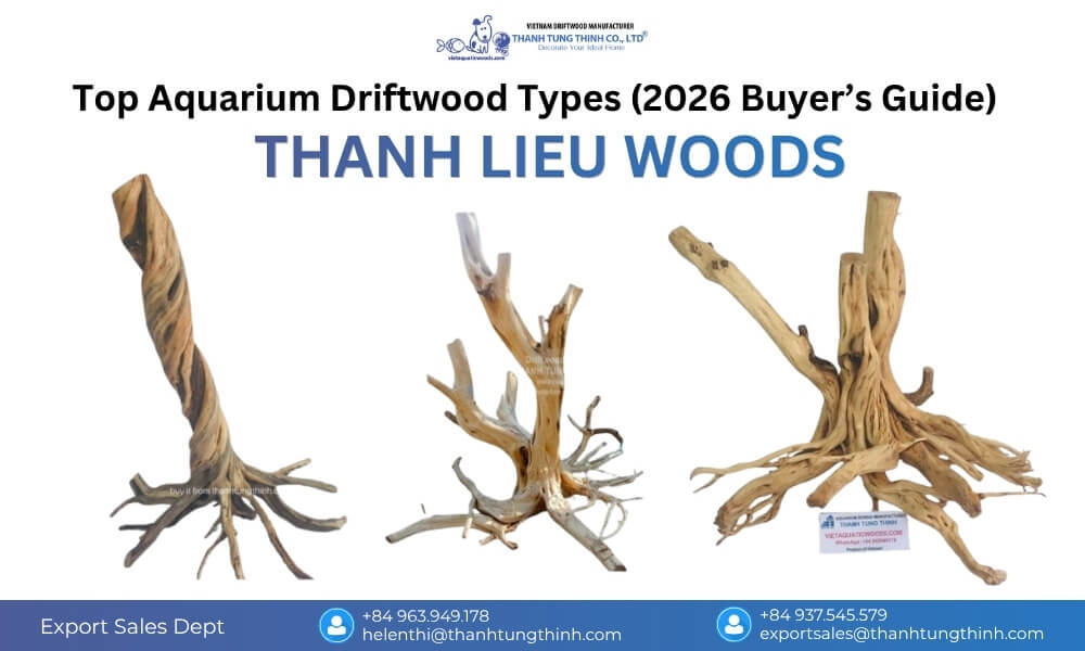 Thanh Lieu Woods driftwood in a large aquarium, with elongated branches creating movement and depth in the layout