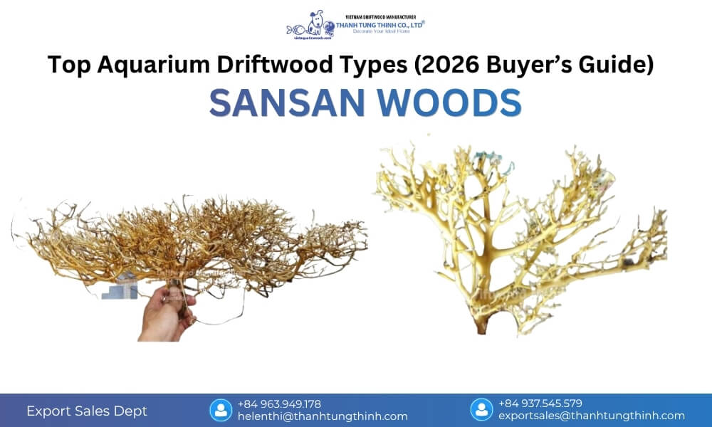 Sansan Woods driftwood in a minimalist aquarium, featuring a clean layout, balanced proportions, and harmony with aquatic plants