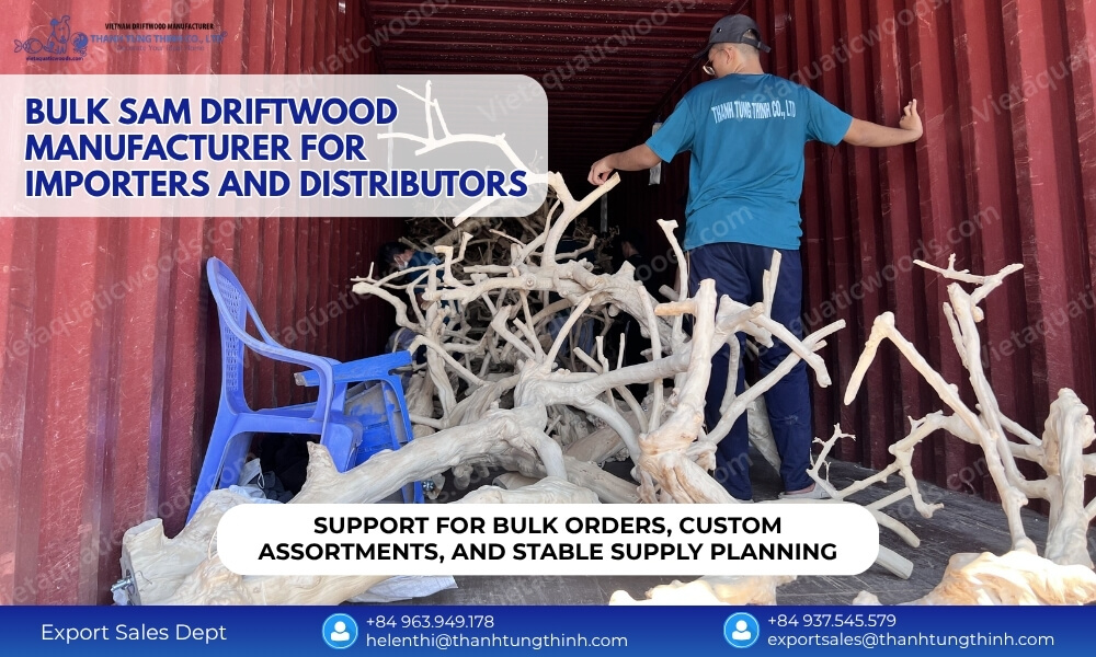 Bulk Sam driftwood manufacturer Vietnam for importers distributors wholesale cartons and container orders