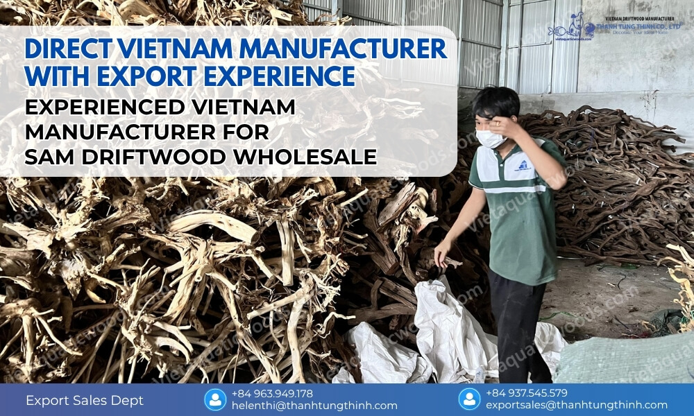 Vietnam manufacturer and exporter of Sam driftwood wooden products for B2B wholesale supply