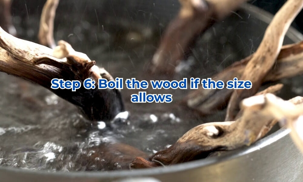 Boiling driftwood to accelerate tannin removal and sinking