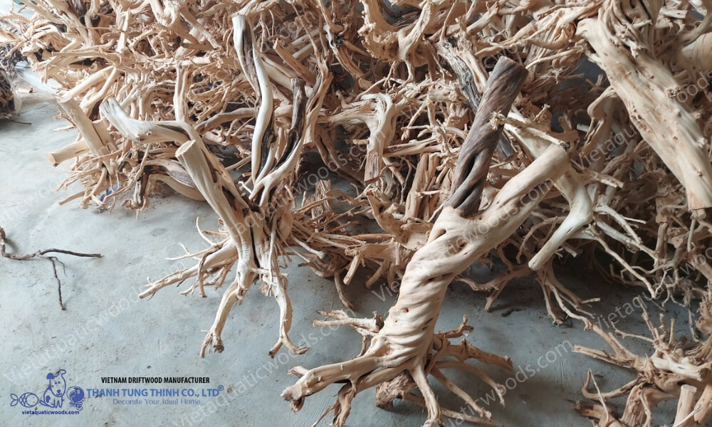 unique natural driftwood shapes at Thanh Tung Thinh workshop Vietnam