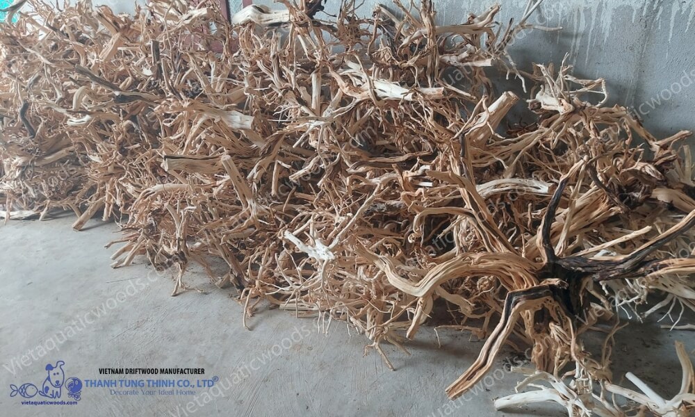 unique driftwood grain Thanh Tung Thinh