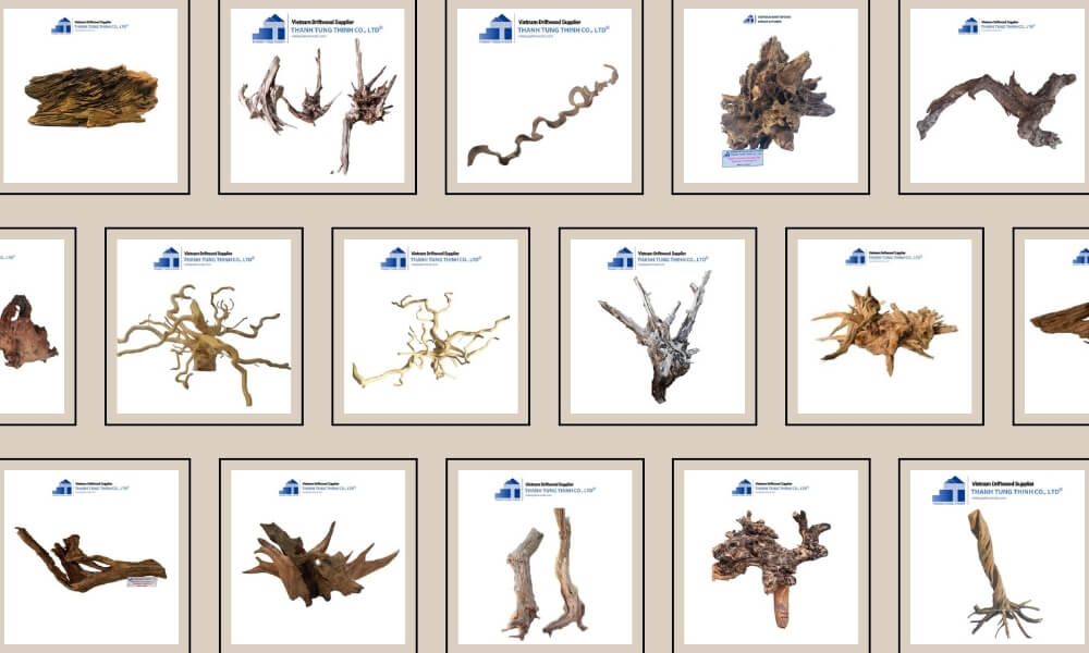 various types of driftwood designs and wood materials displayed at vietnam manufacturer warehouse