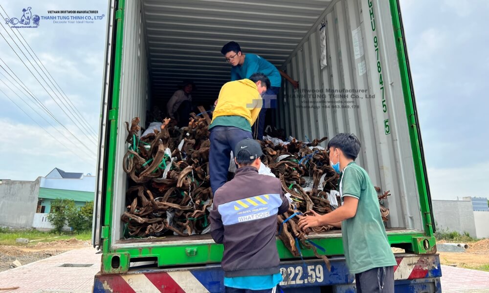 bulk driftwood shipment from vietnam manufacturer being loaded for export to wholesale customers