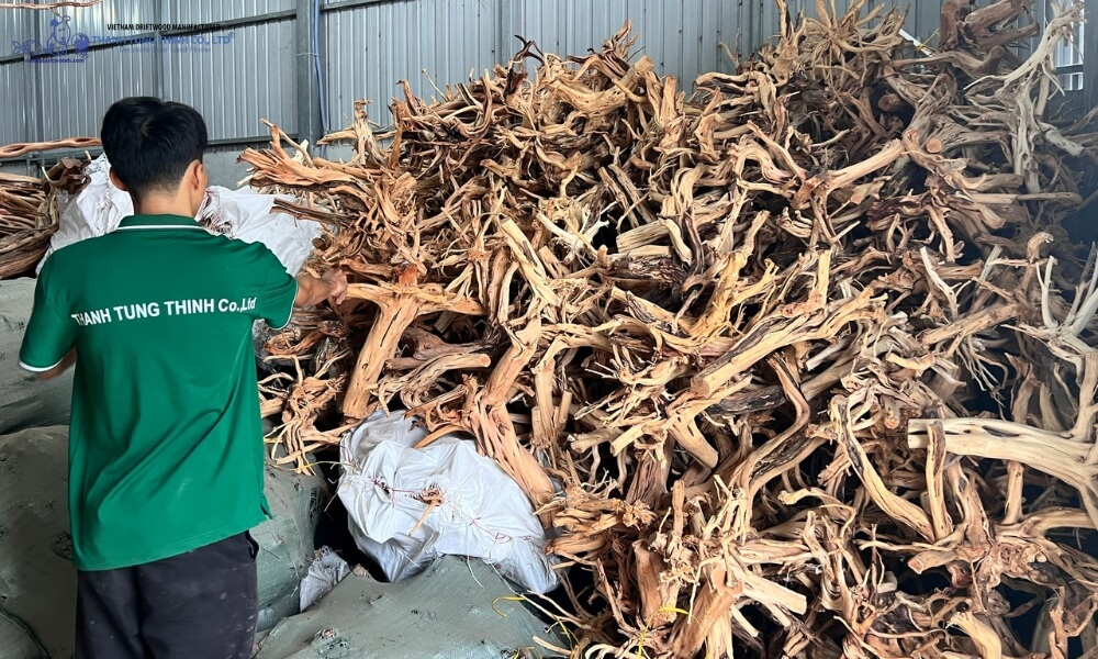 bulk driftwood supply from manufacturer showing stacked natural wood pieces ready for export