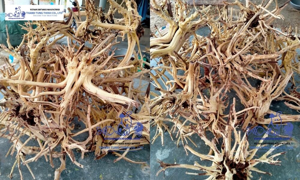 high quality driftwood from manufacturer used in aquarium with stable structure and minimal issues