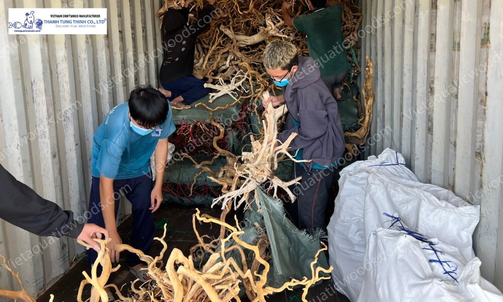 Thanh Tung Thinh driftwood supply with standardized quality for aquarium and aquascaping