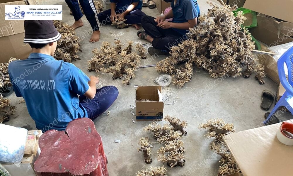 direct manufacturer driftwood sourcing from Thanh Tung Thinh enabling stable supply and consistent quality