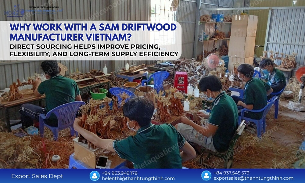 Sam driftwood manufacturer Vietnam factory direct sourcing bulk supply and export support for B2B buyers
