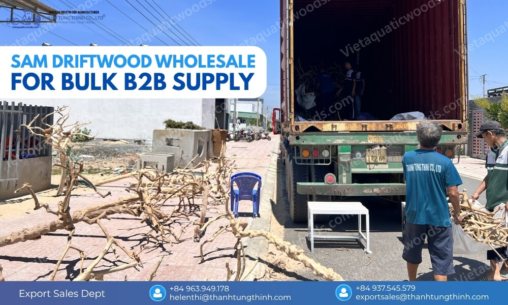 Sam driftwood wholesale bulk supply MOQ export packing and international shipping from Vietnam