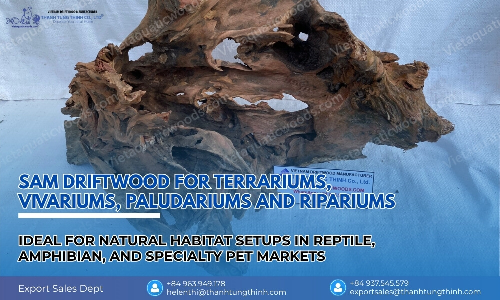 Natural Sam wood branches for reptile and amphibian climbing hiding and habitat decoration