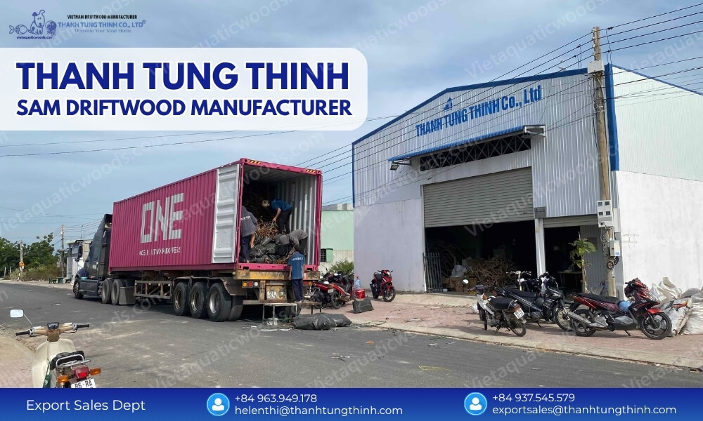 Thanh Tung Thinh Sam driftwood manufacturer Vietnam for B2B export wooden products and wholesale supply