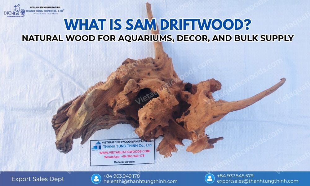 Sam driftwood natural wood for aquarium aquascaping reptile habitat and garden decoration