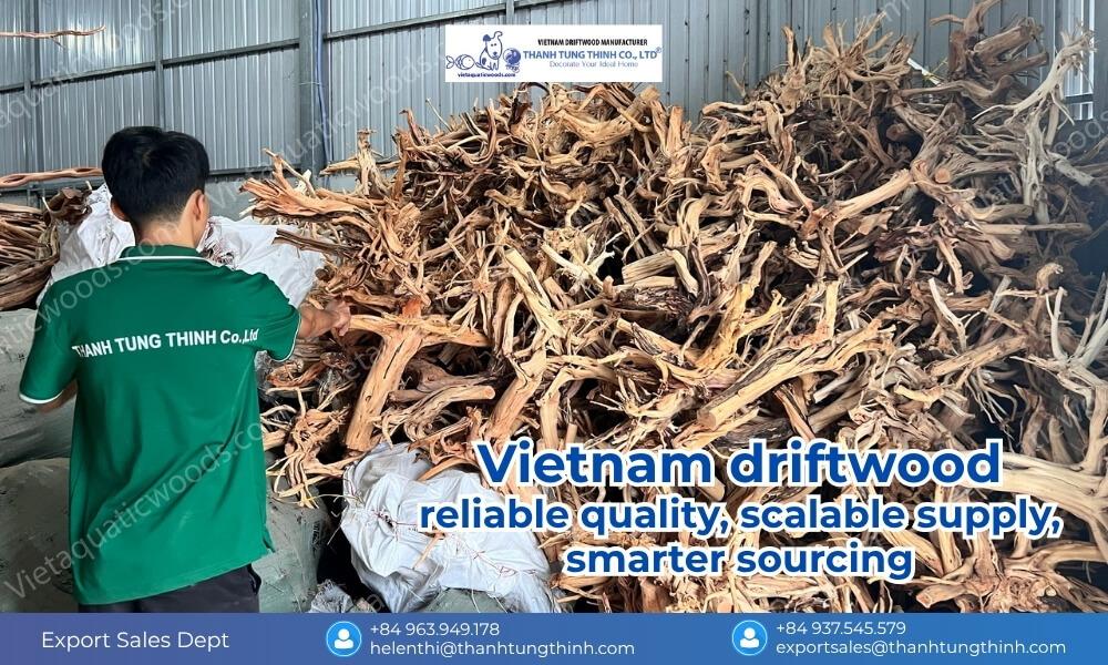 Why Choose a Driftwood Exporter in Vietnam? Cost, Quality & Supply Advantages for Global Buyers 01
